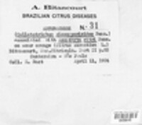 Colletotrichum gloeosporioides image